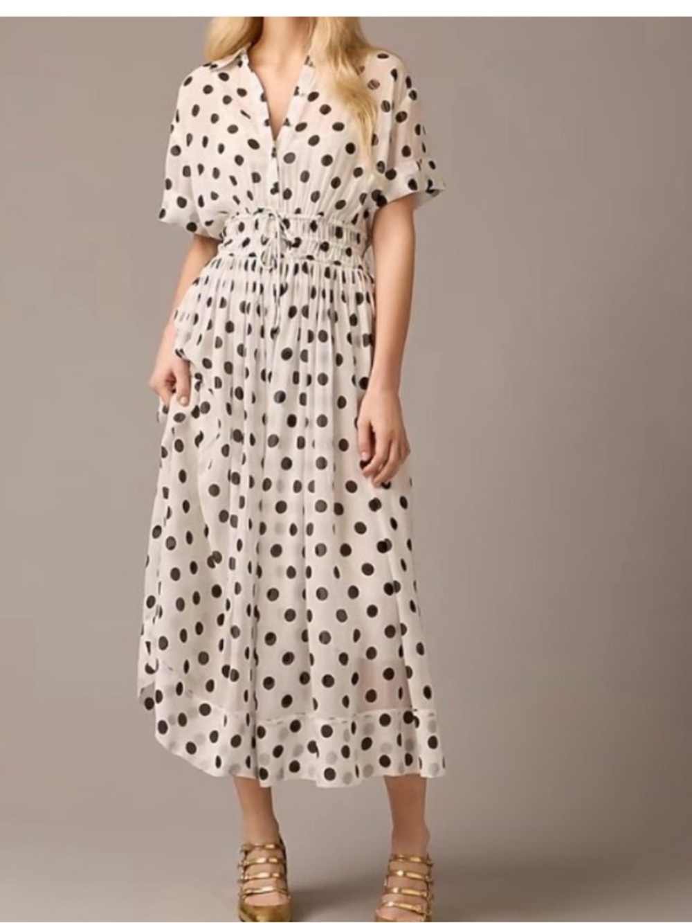 J Crew Elena chiffon dress 6